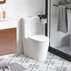 1.1/1.6 GPF Dual Flush One-Piece Toilet, Button on Tank top S-trap 12 inches, Elongated Bowl with Soft Close Seat, Water-Saving MAP 1000g